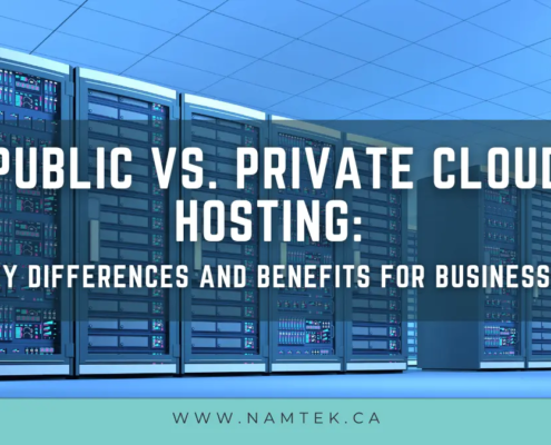 Private-vs-Public-hosting